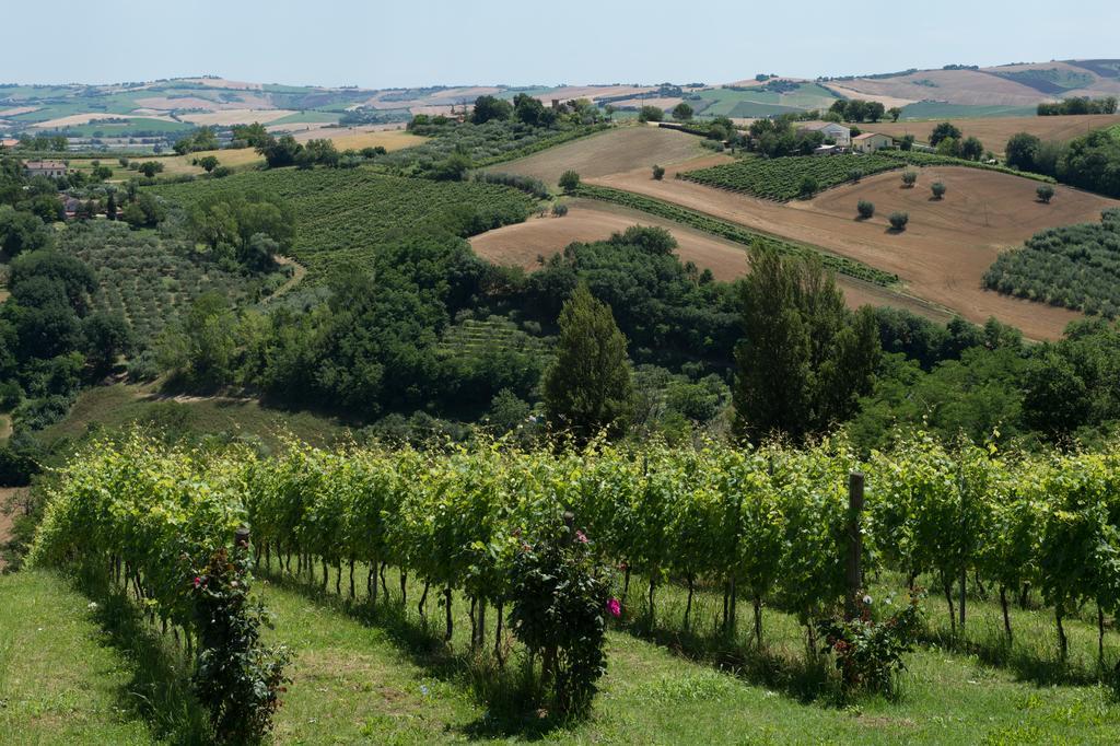 Poggio Montali Vila Monte Roberto Exterior foto